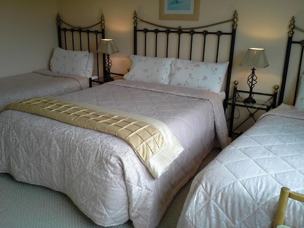Fern Rock Bed And Breakfast Dromin Bilik gambar