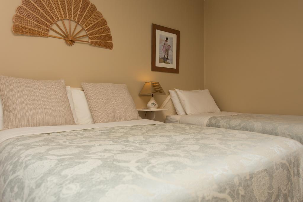 Fern Rock Bed And Breakfast Dromin Luaran gambar